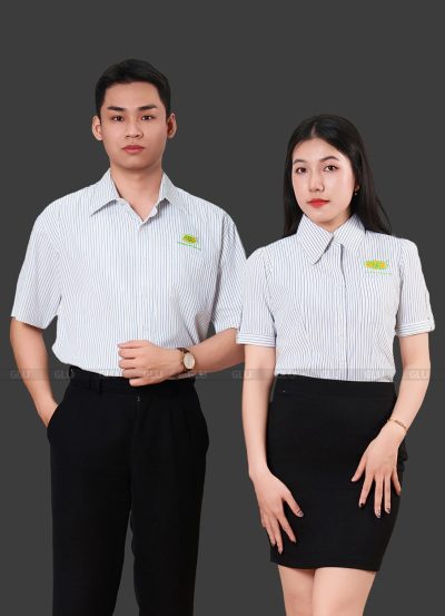 Áo công sở tay ngắn đồng phục màu trắng sọc cao cấp